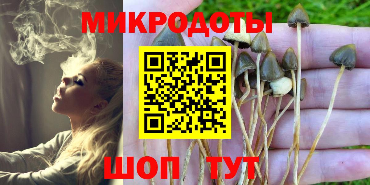 Галлюциногенные грибы GOLDEN TEACHER  Вход с VPN  Озёрск  Псилоцибиновые грибы мухоморы 